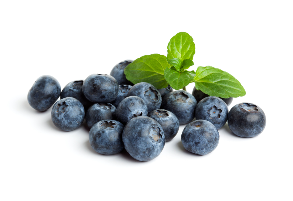 The Bountiful Benefits of Fresh Frozen Organic Blueberries