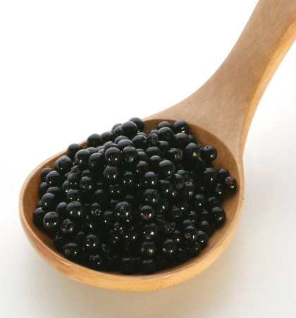 Uncover the Health Benefits of Elderberries