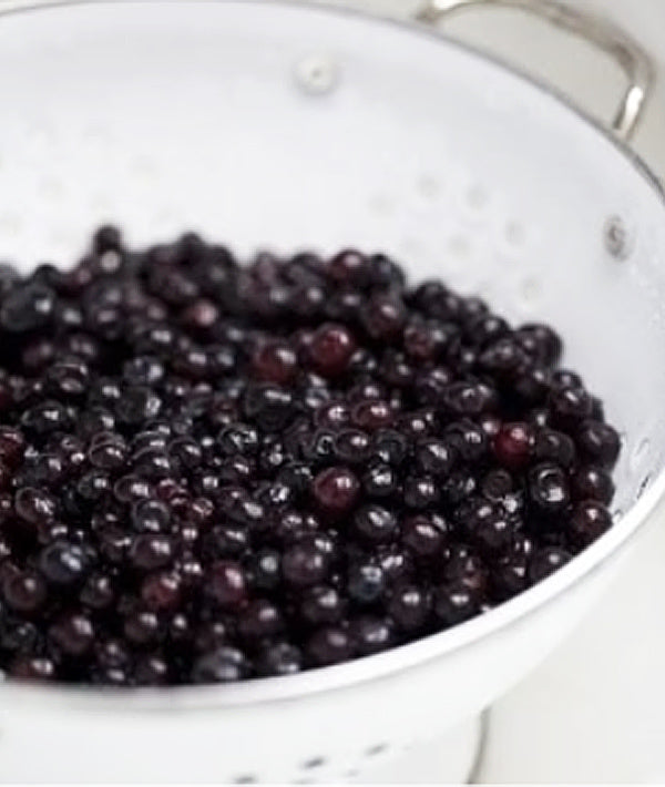 Fresh Frozen Idaho Huckleberrie