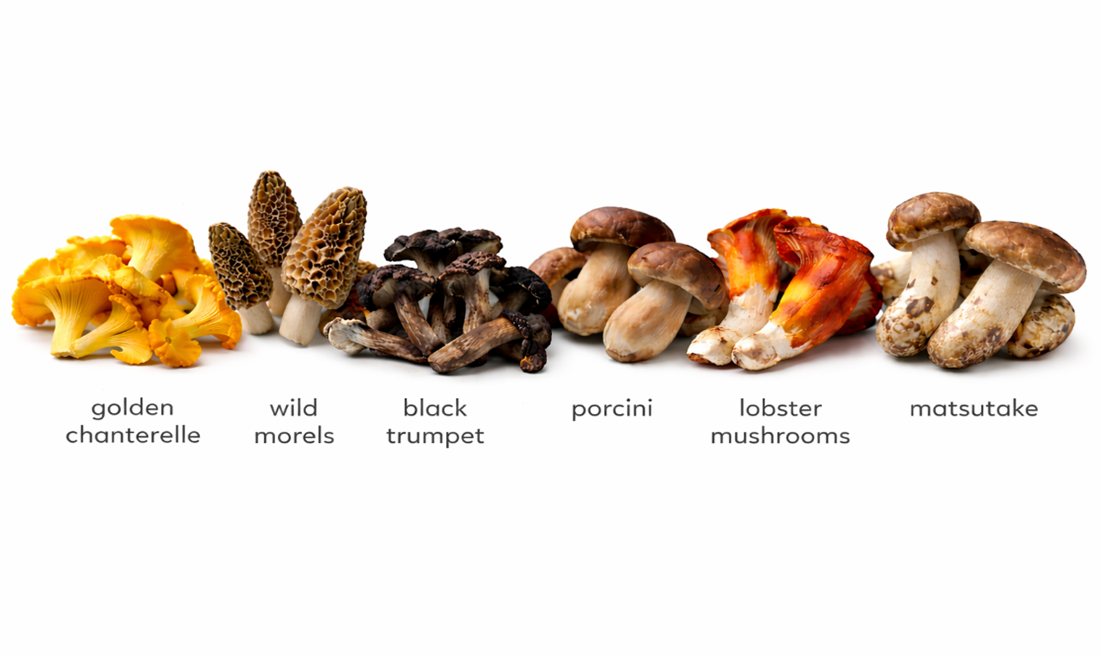 Swap, Don’t Stop: Replacing Meat with Mushrooms for Lighter, More Satisfying Meals While Boosting Your Protein and Nutrients Naturally