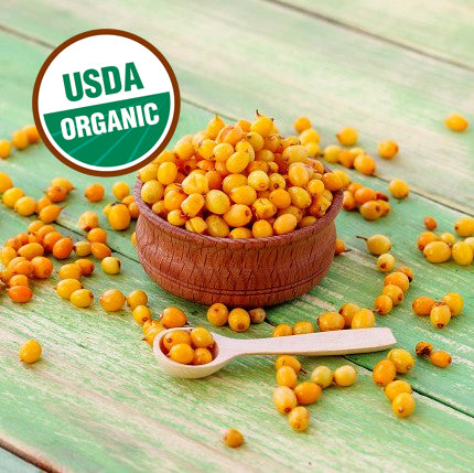 The Benefits of Sea Buckthorn Berries for Leukemia