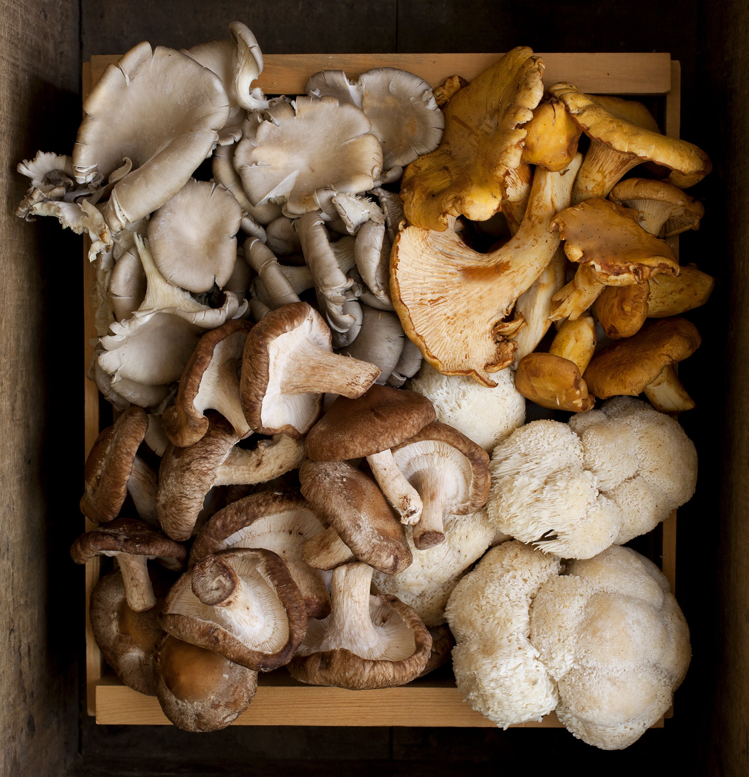 ***FRESH Chefs Mushroom Mix