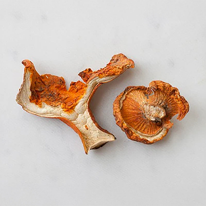 Dried Lobster Mushrooms