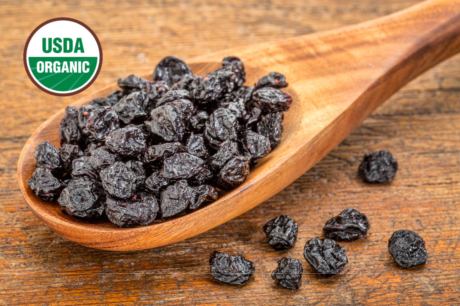 Dried Organic Wild Bilberries