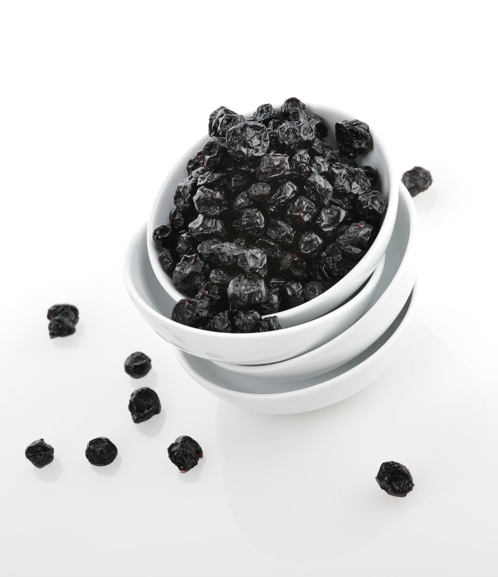 Dried Wild Organic Blueberries