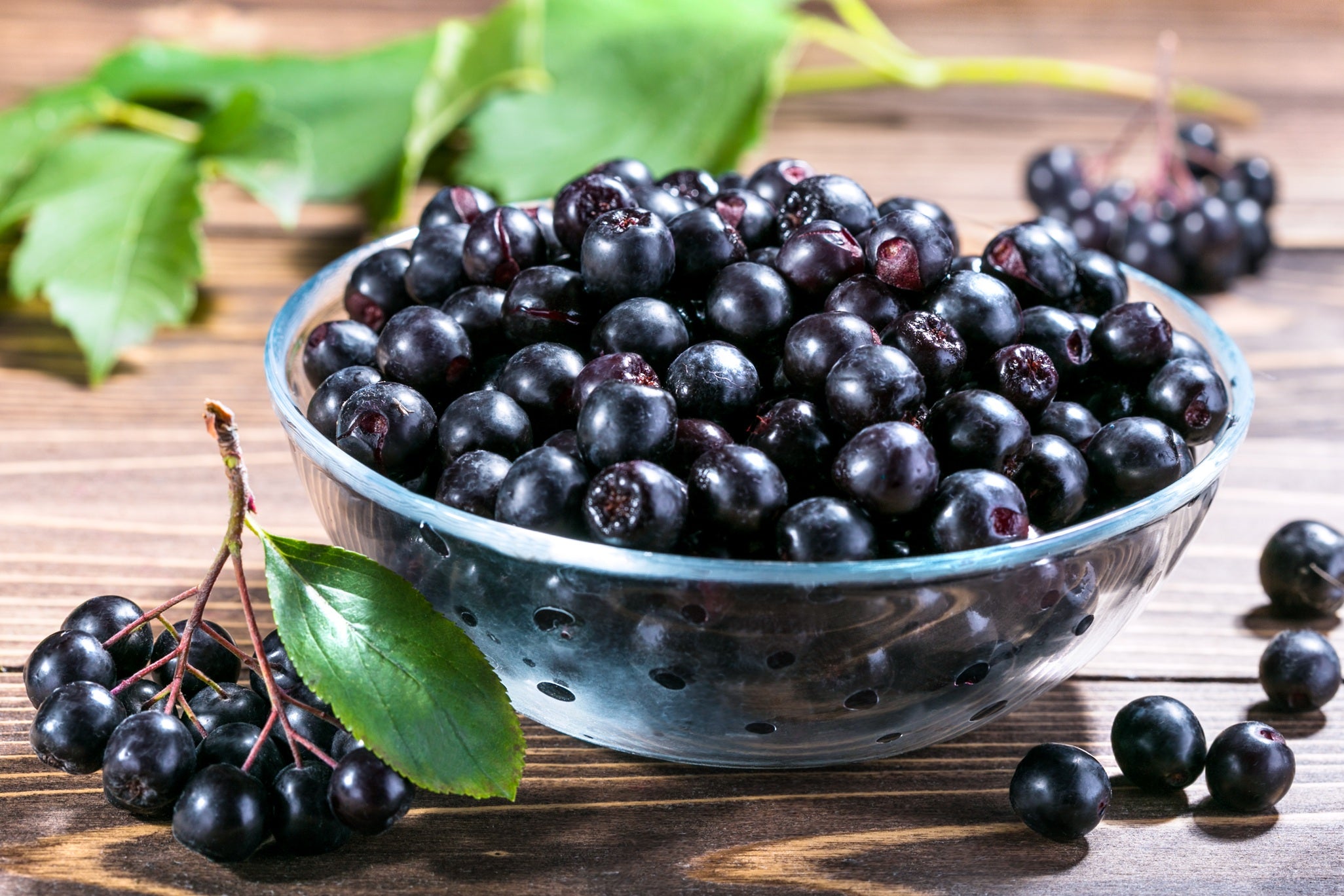 Fresh Frozen Organic Aronia Berries