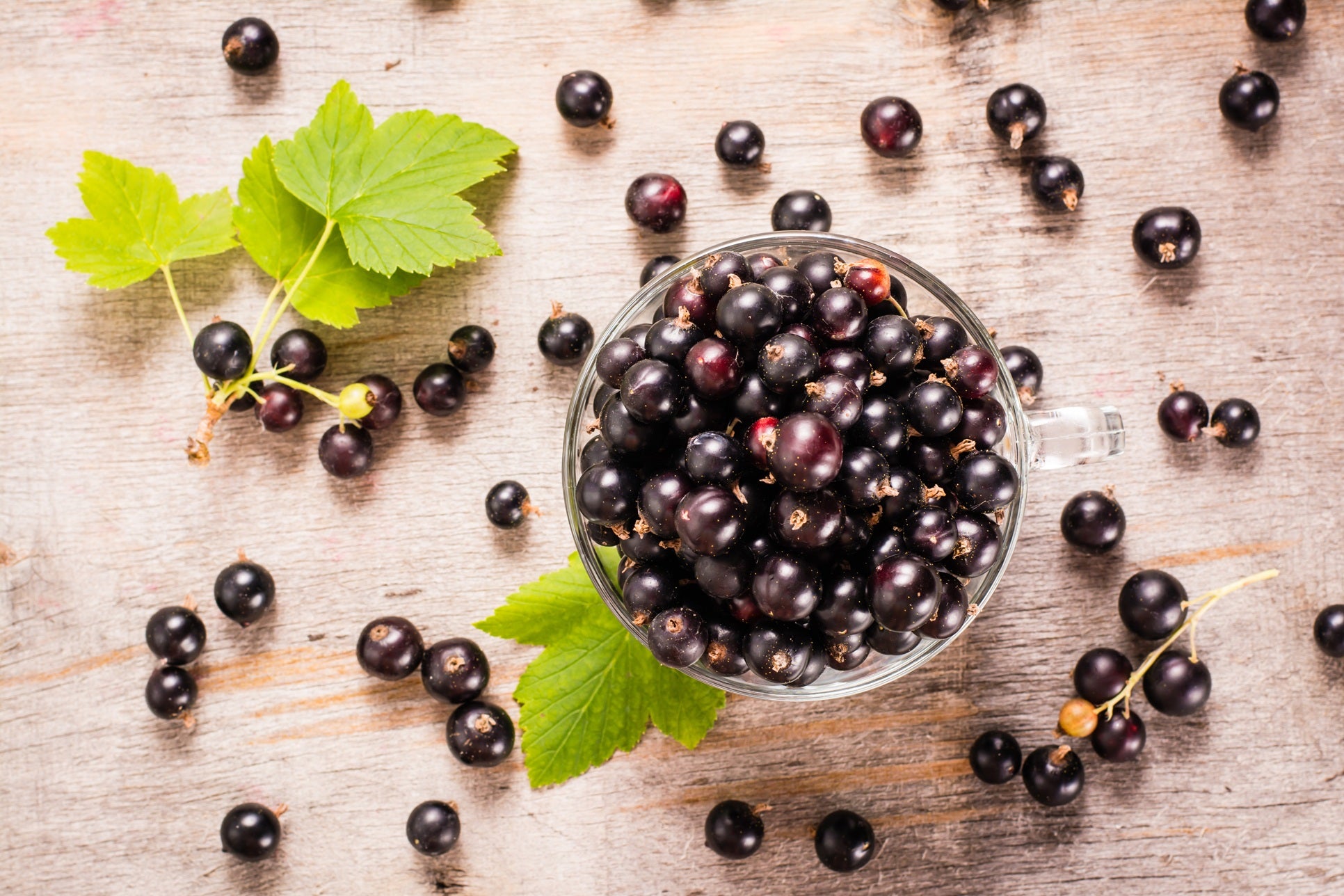 Fresh Frozen Organic Black Currants