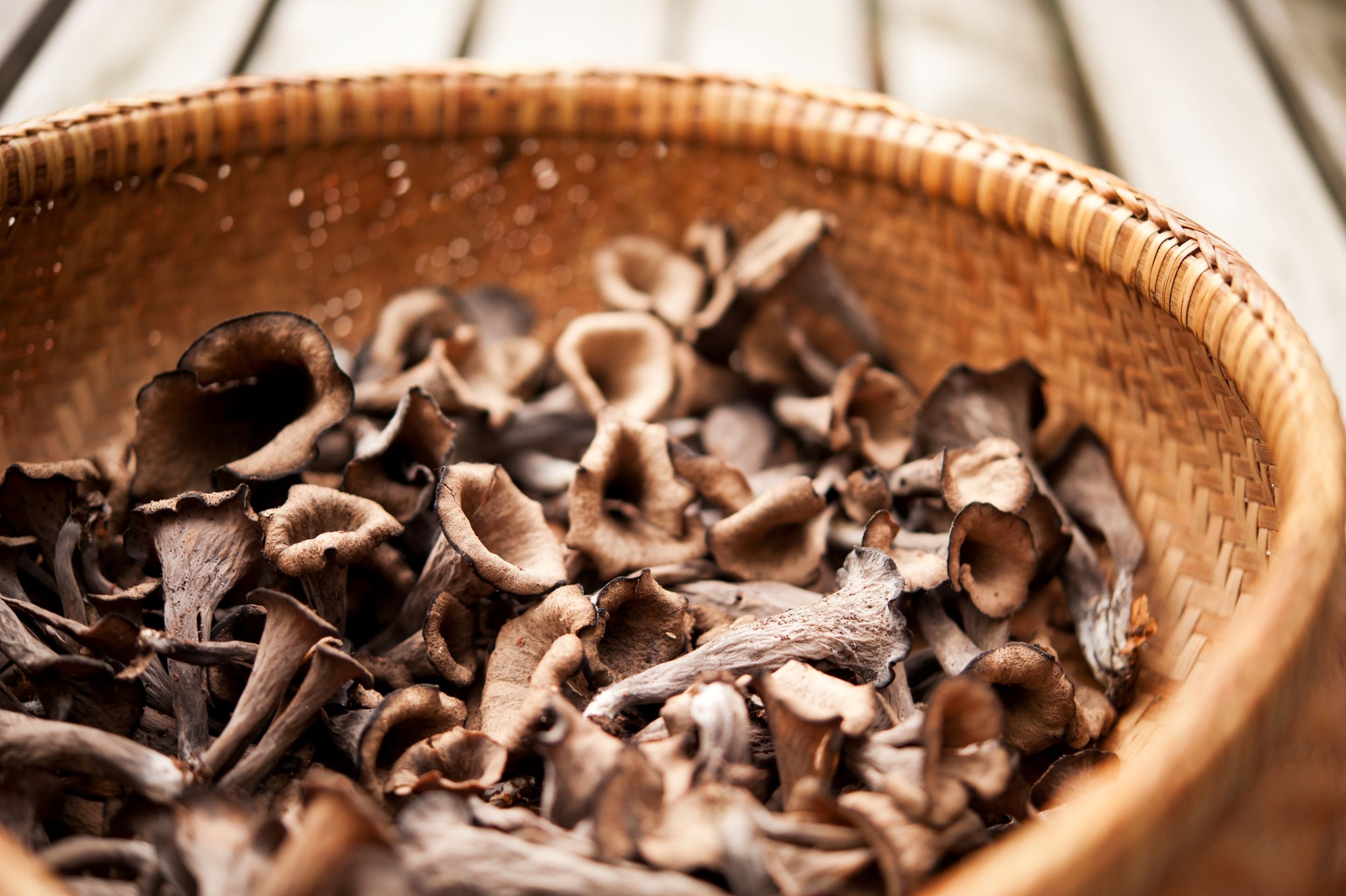 ***FRESH Wild Black Trumpet Mushrooms