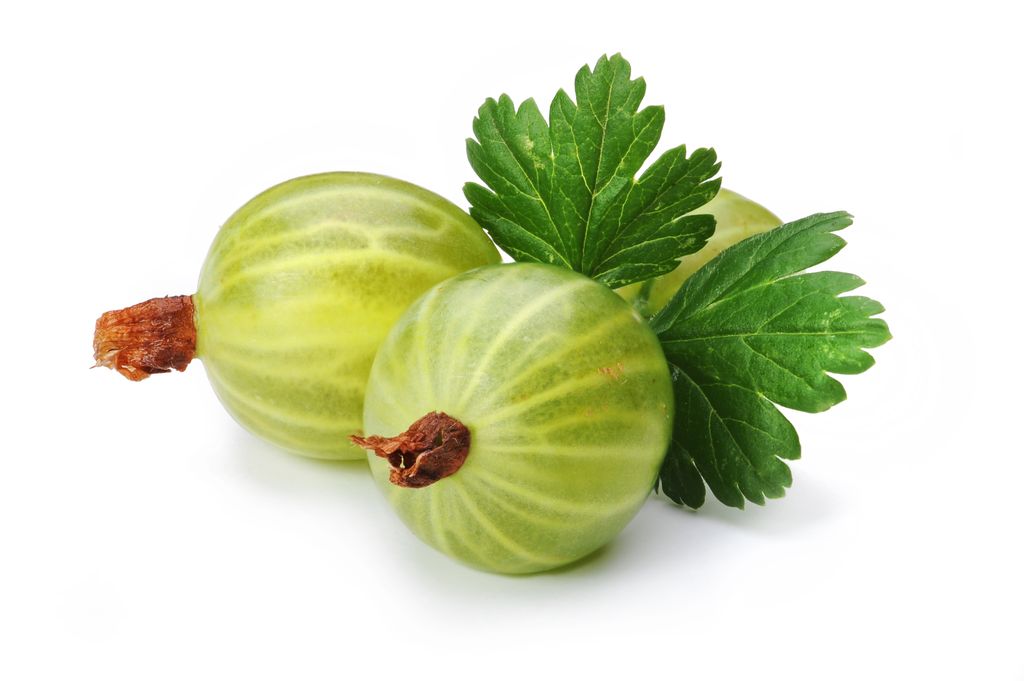 Fresh Frozen Organic Green Gooseberries