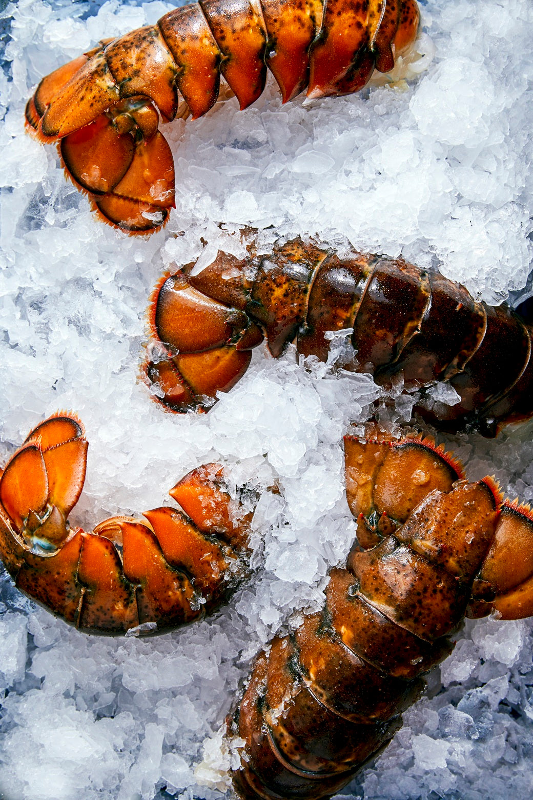 Wild Cold Water Lobster Tails