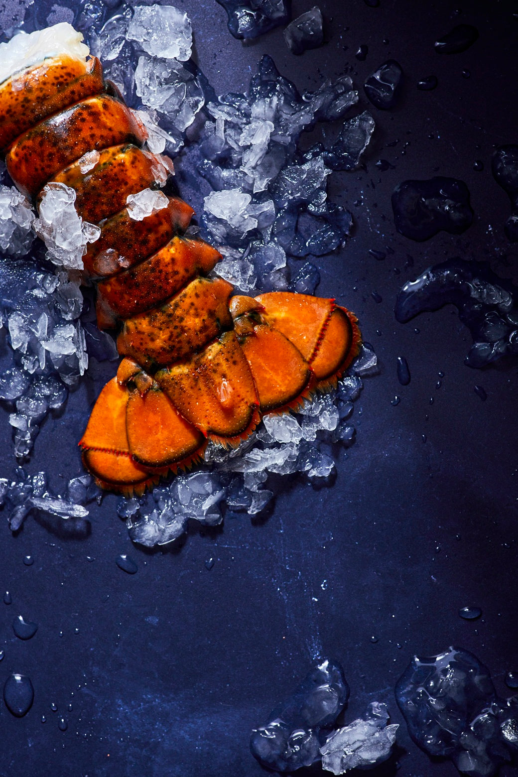 Wild Cold Water Lobster Tails