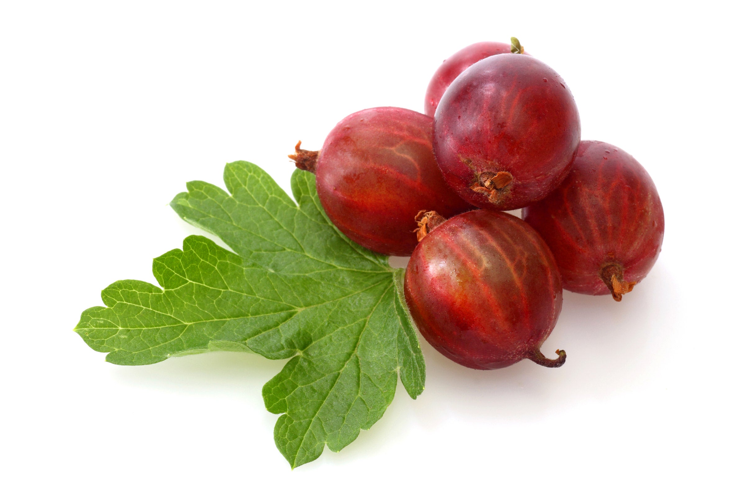 Fresh Frozen Organic Red Gooseberries