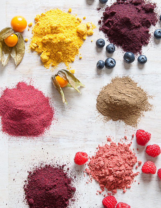 Wild Elderberry Powder