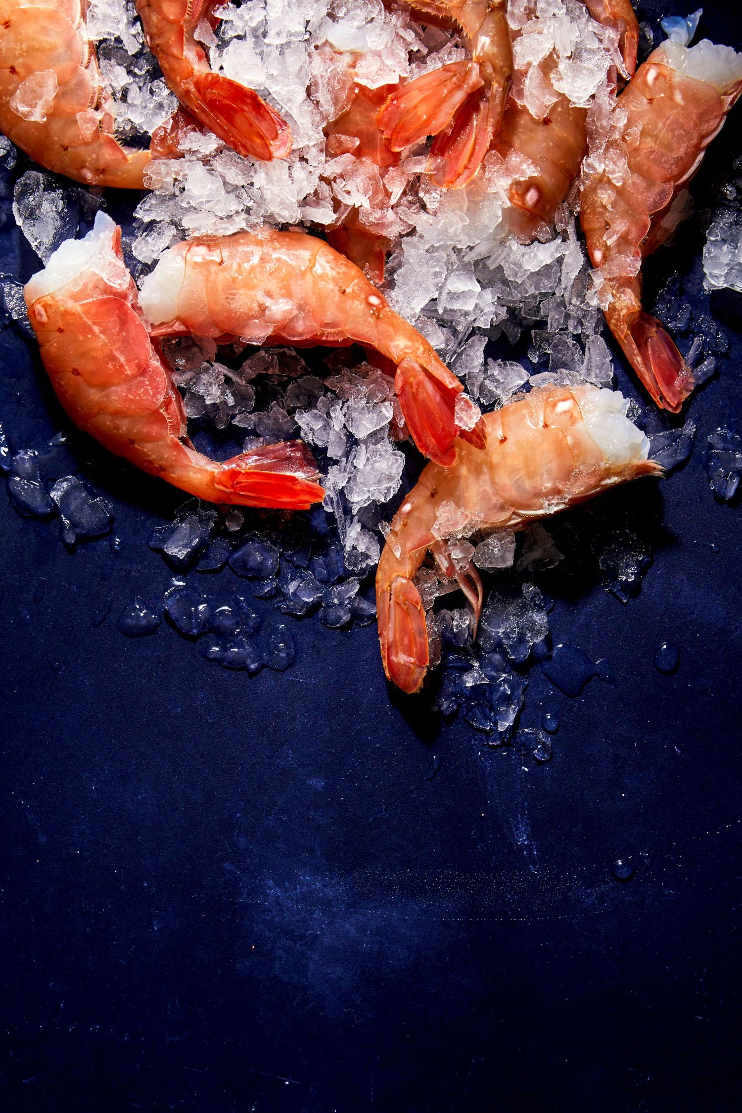 Wild Alaskan Spot Prawns