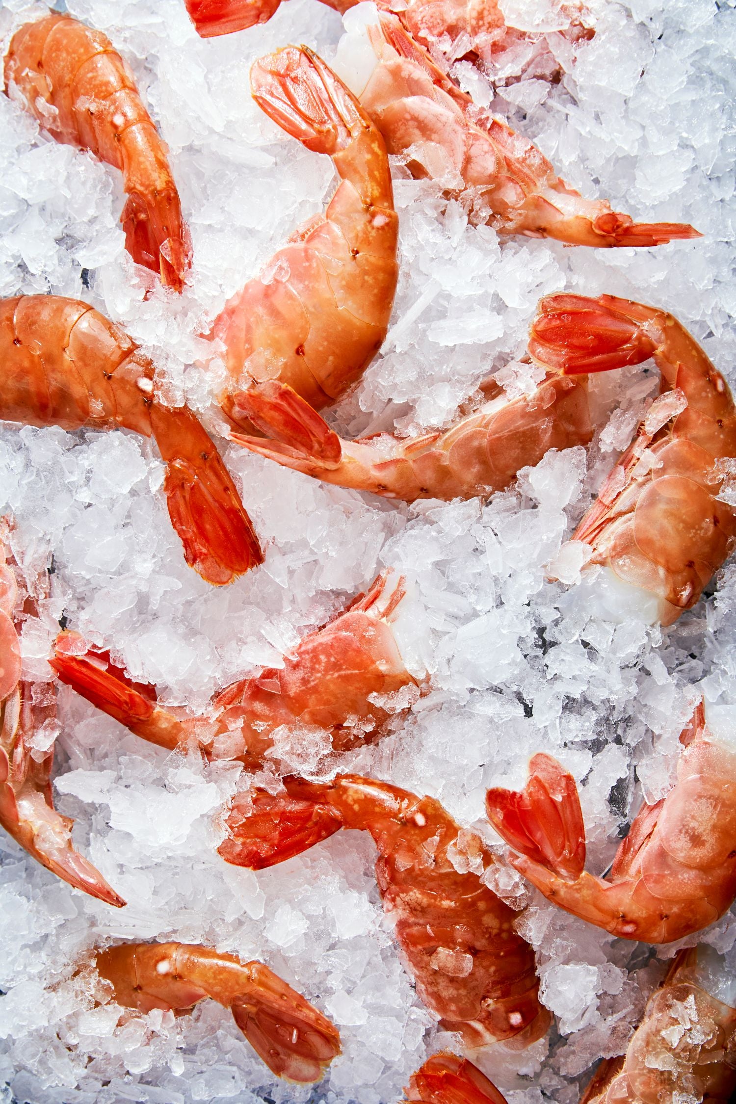 Wild Alaskan Spot Prawns