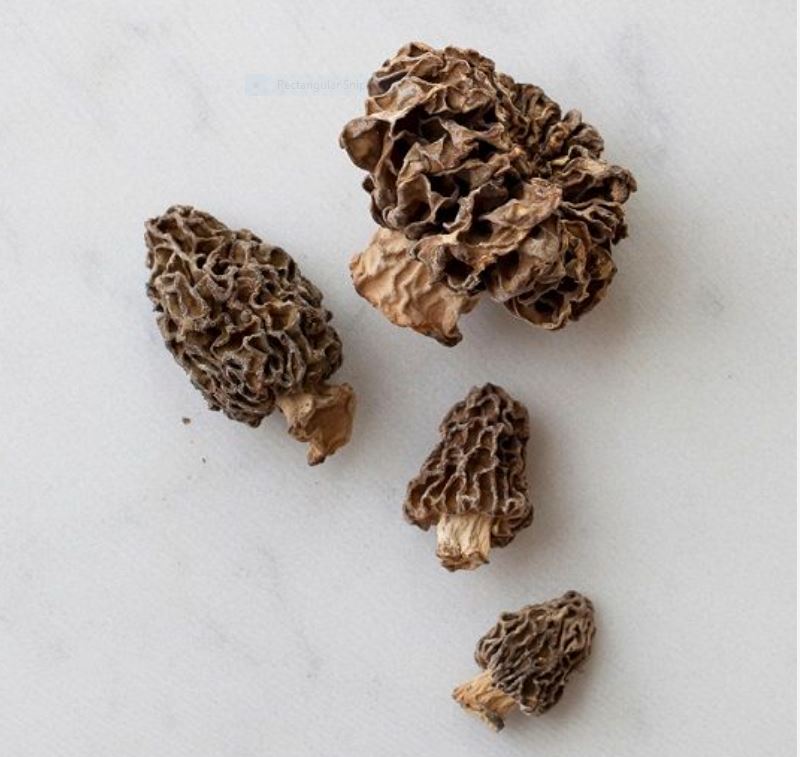 Dried Morel Mushrooms