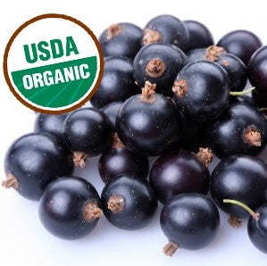 Fresh frozen organic black currants