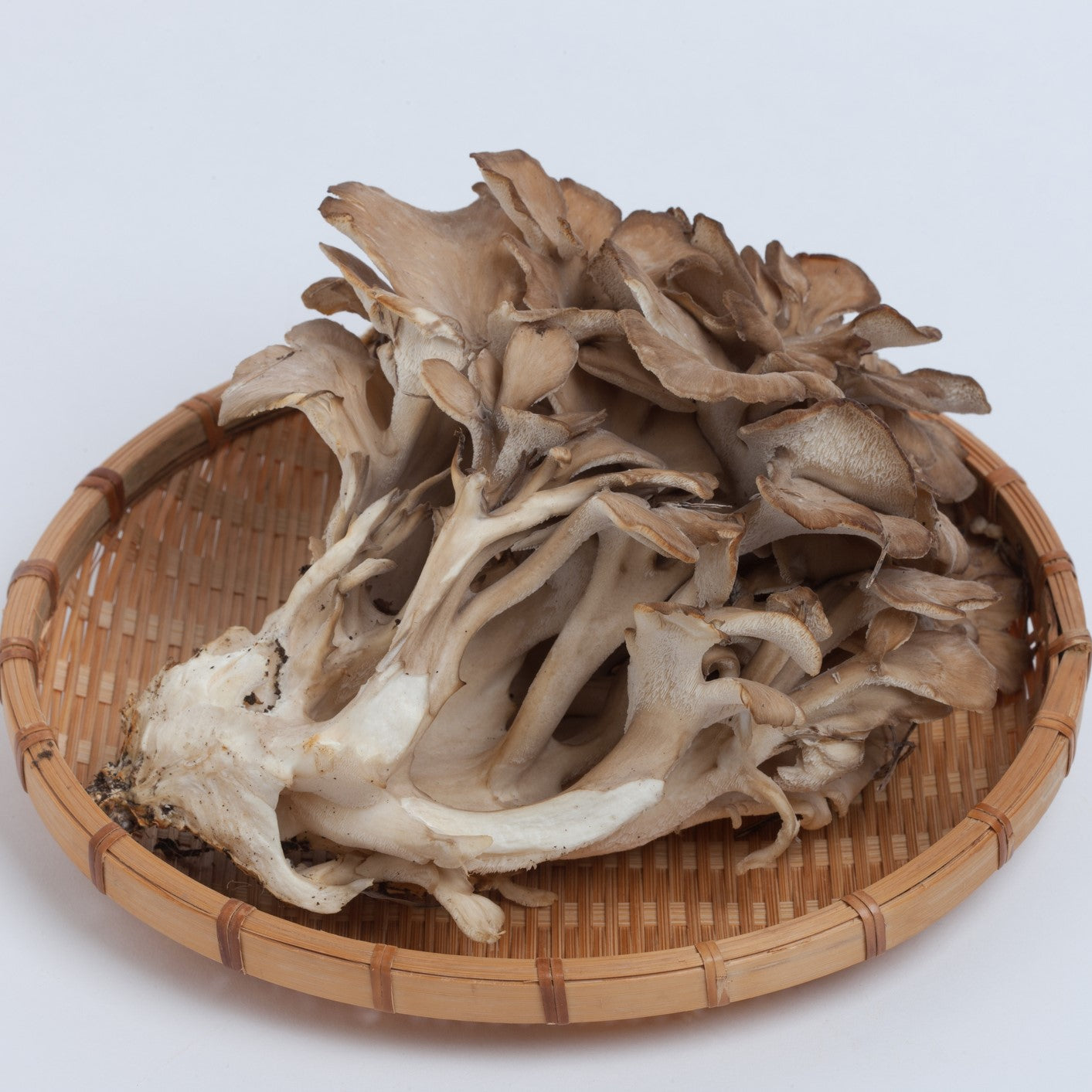 fresh frozen maitake mushrooms