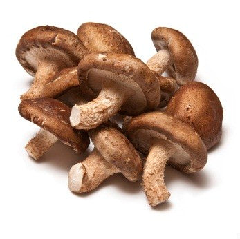 Fresh Wild Organic Shiitake Mushrooms