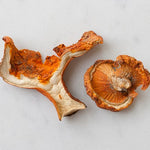 Dried Lobster Mushrooms