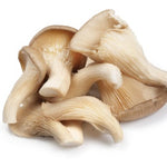 Fresh Organic Oyster Mushrooms