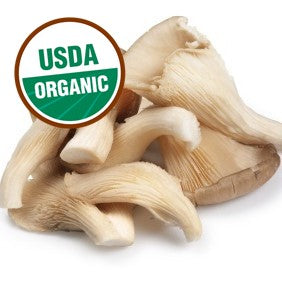 FRESH Organic Oyster Mushrooms