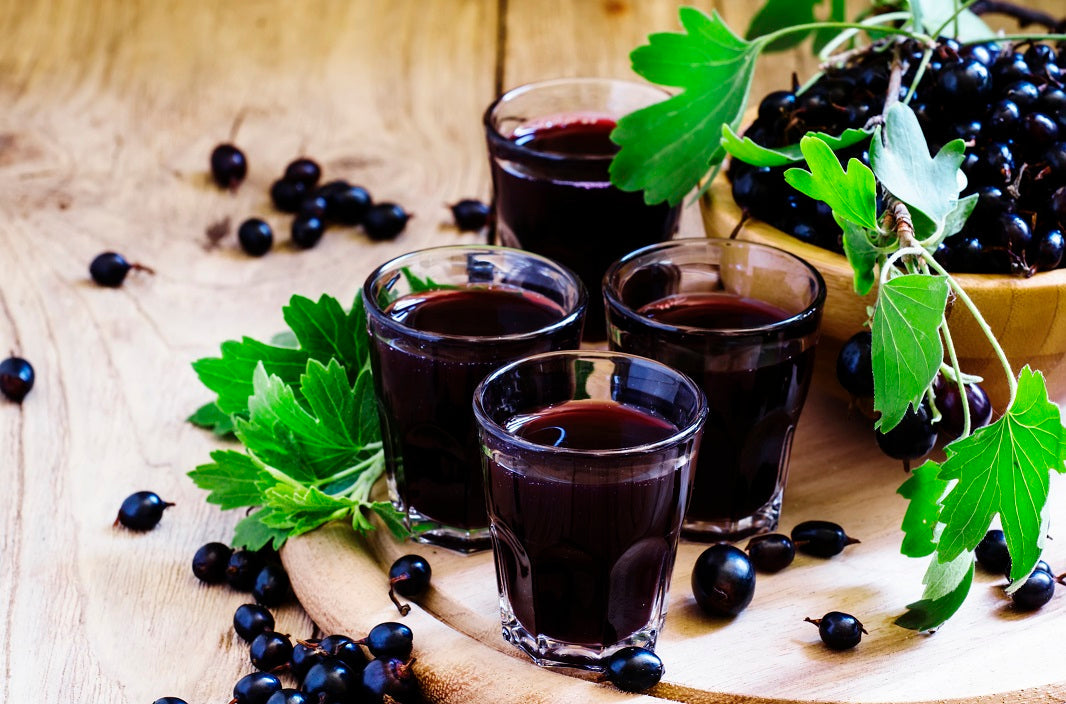 Black Currant Cordial