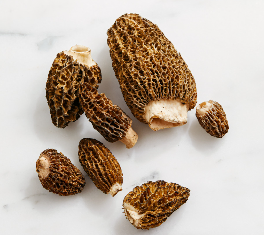 Fresh Morel Mushrooms