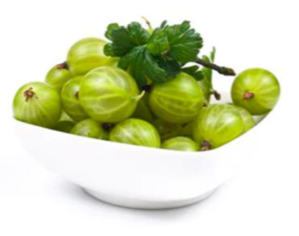 Gooseberries, a Staple in Traditional Indian Medicine