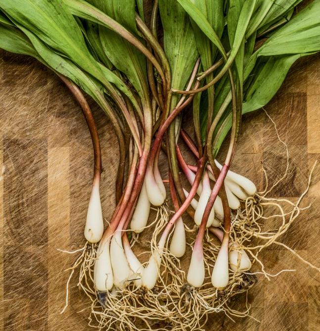 Fresh Frozen Wild Leeks