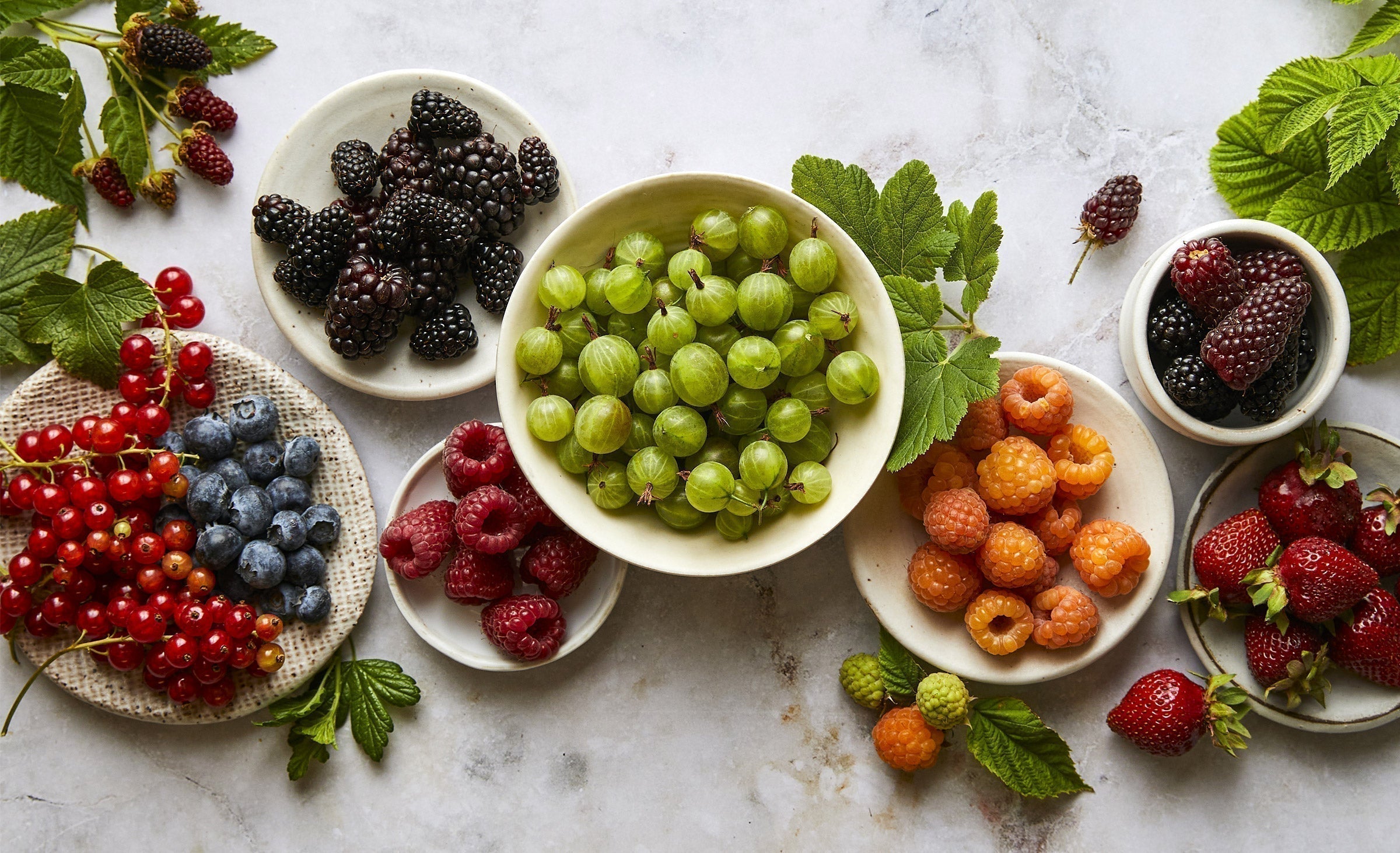 Berry Power: How These Superfoods Prevent and Fight Breast Cancer