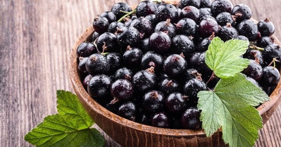 Fresh Frozen Washington Black Currants