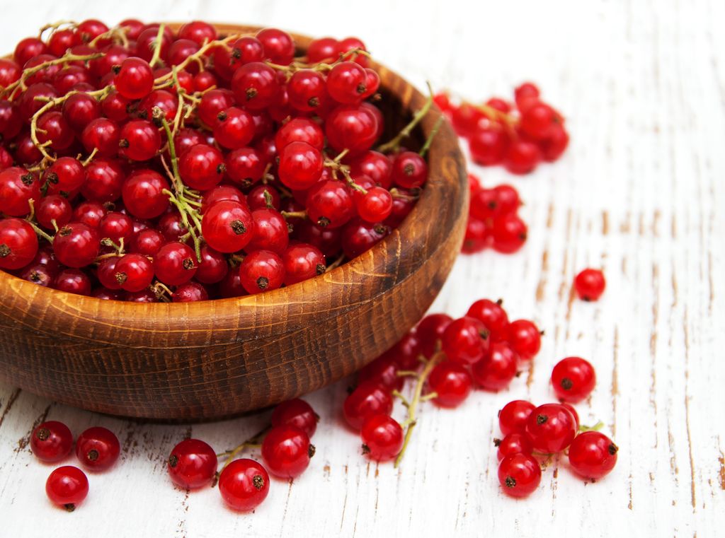 Fresh Frozen Organic Red Currants