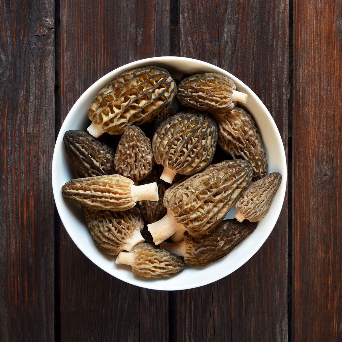 Fresh Morels ***FRESH Morel Mushrooms