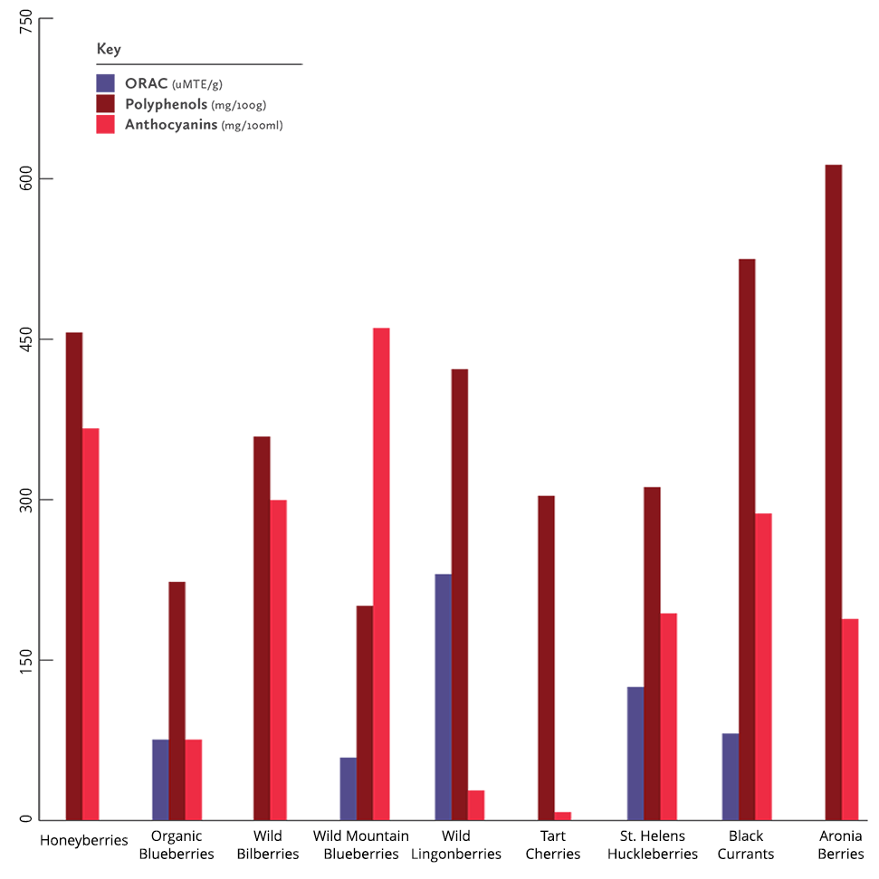 berries-antioxidants-chart.png__PID:f4358397-a84b-4f15-9f46-e7e51339695c