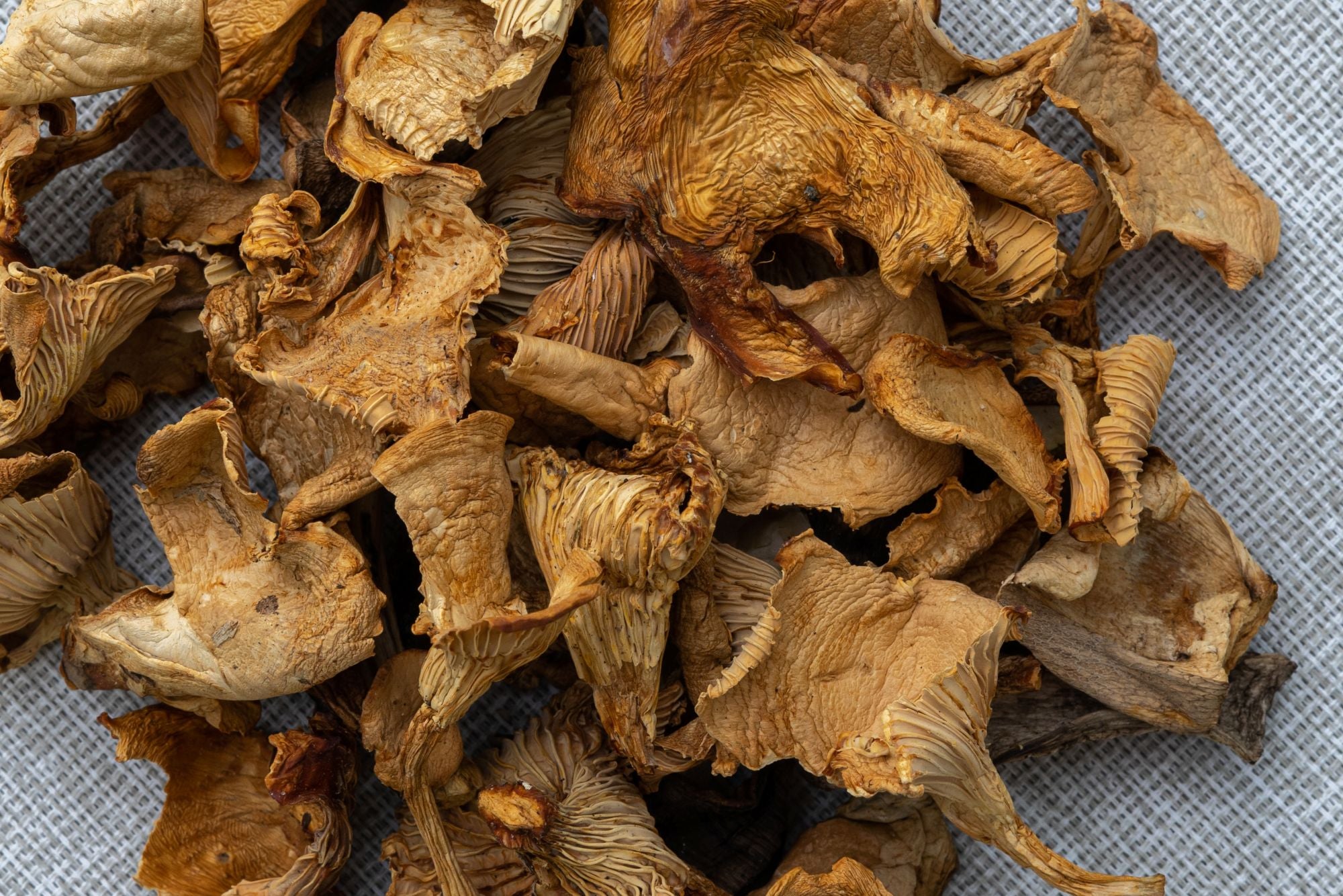 Dried Chanterelle Mushrooms Dried Chanterelle Mushrooms