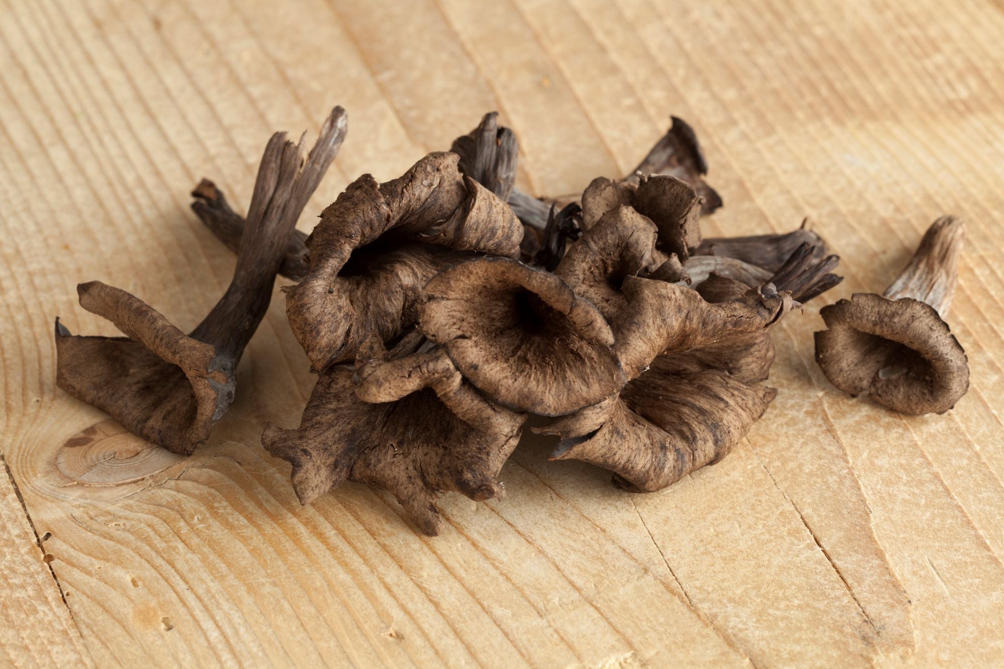 ***FRESH Wild Black Trumpet Mushrooms