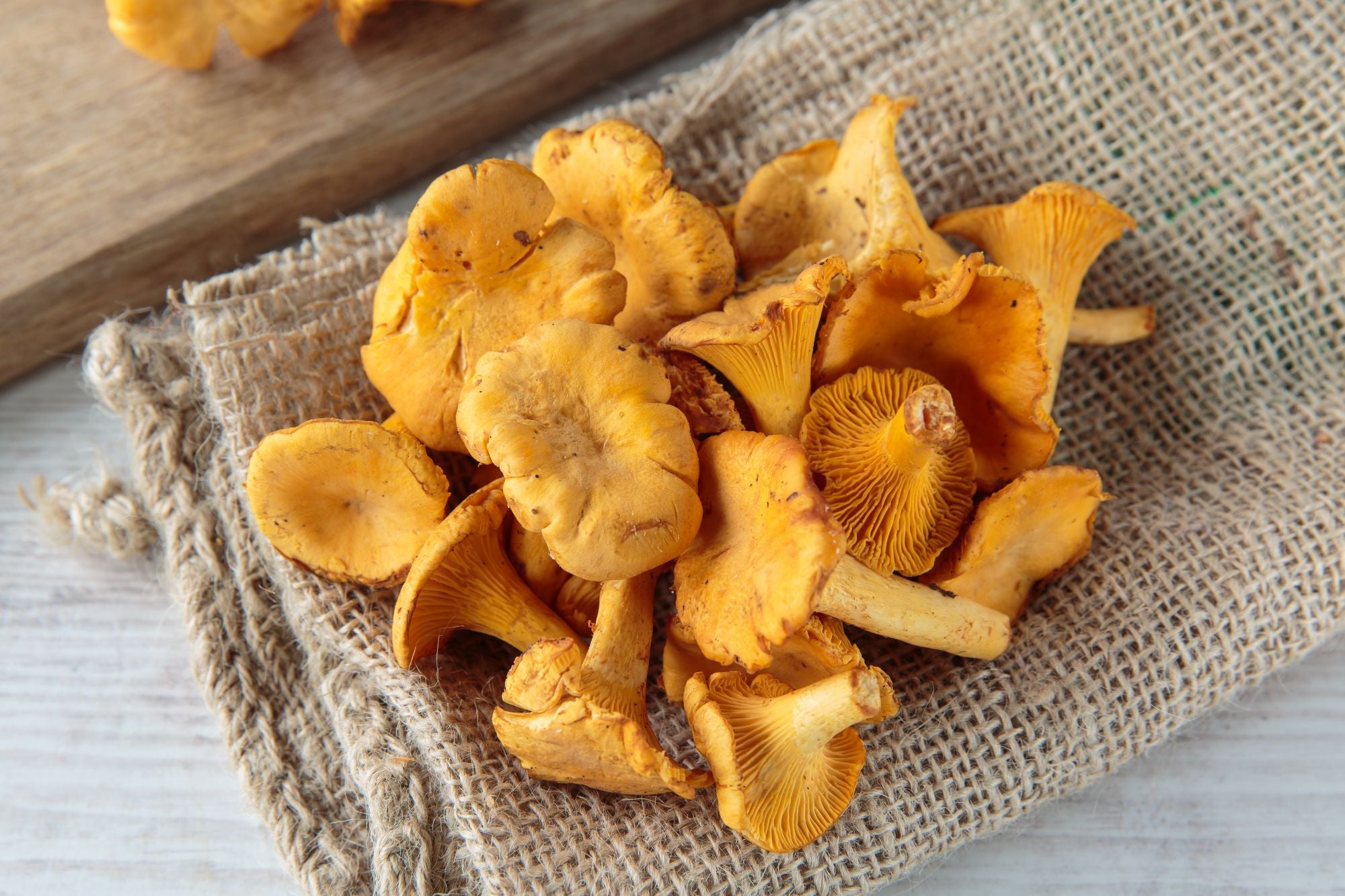***FRESH Chanterelle Mushrooms (5lbs)