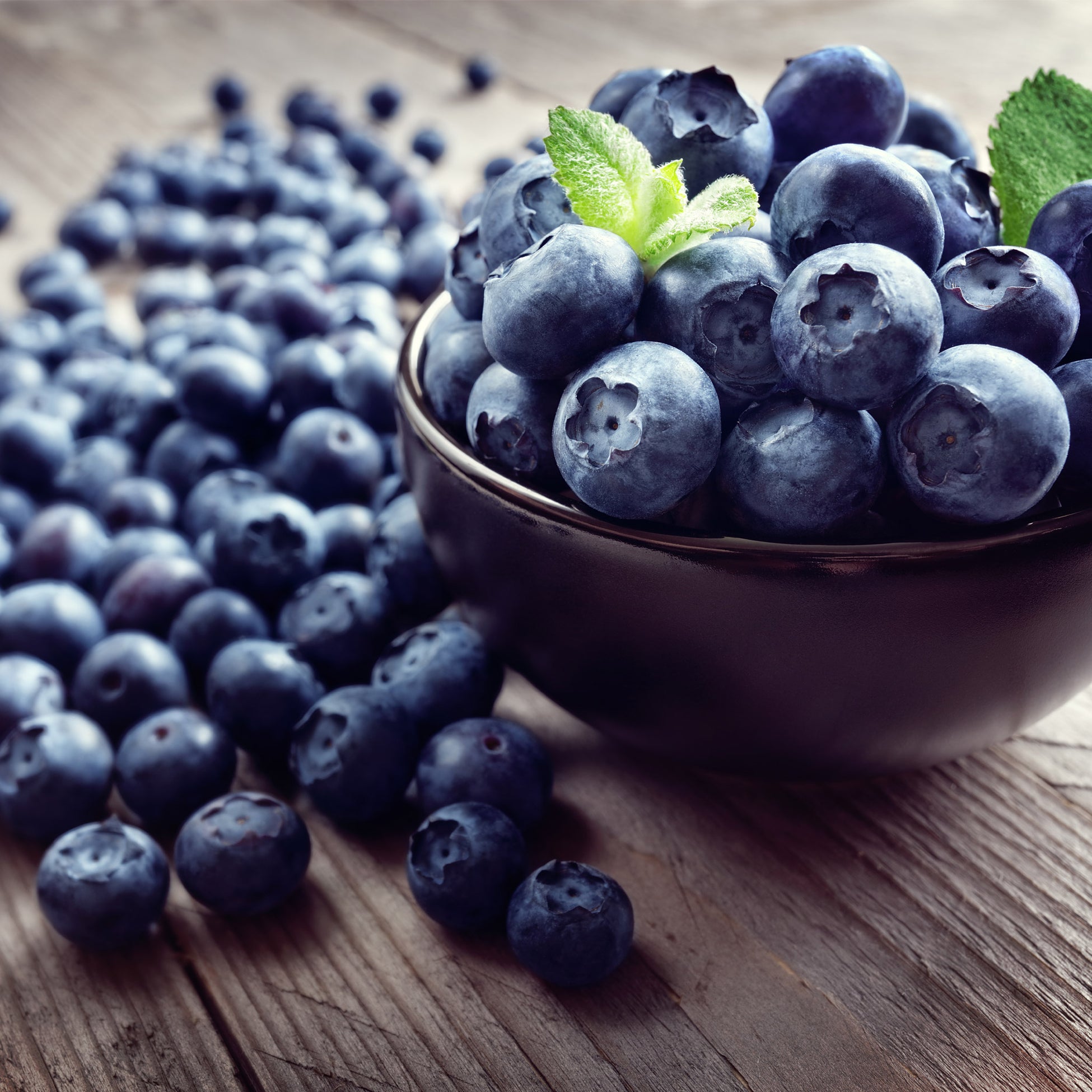 Fresh Frozen Organic Blueberries – Northwest Wild Foods