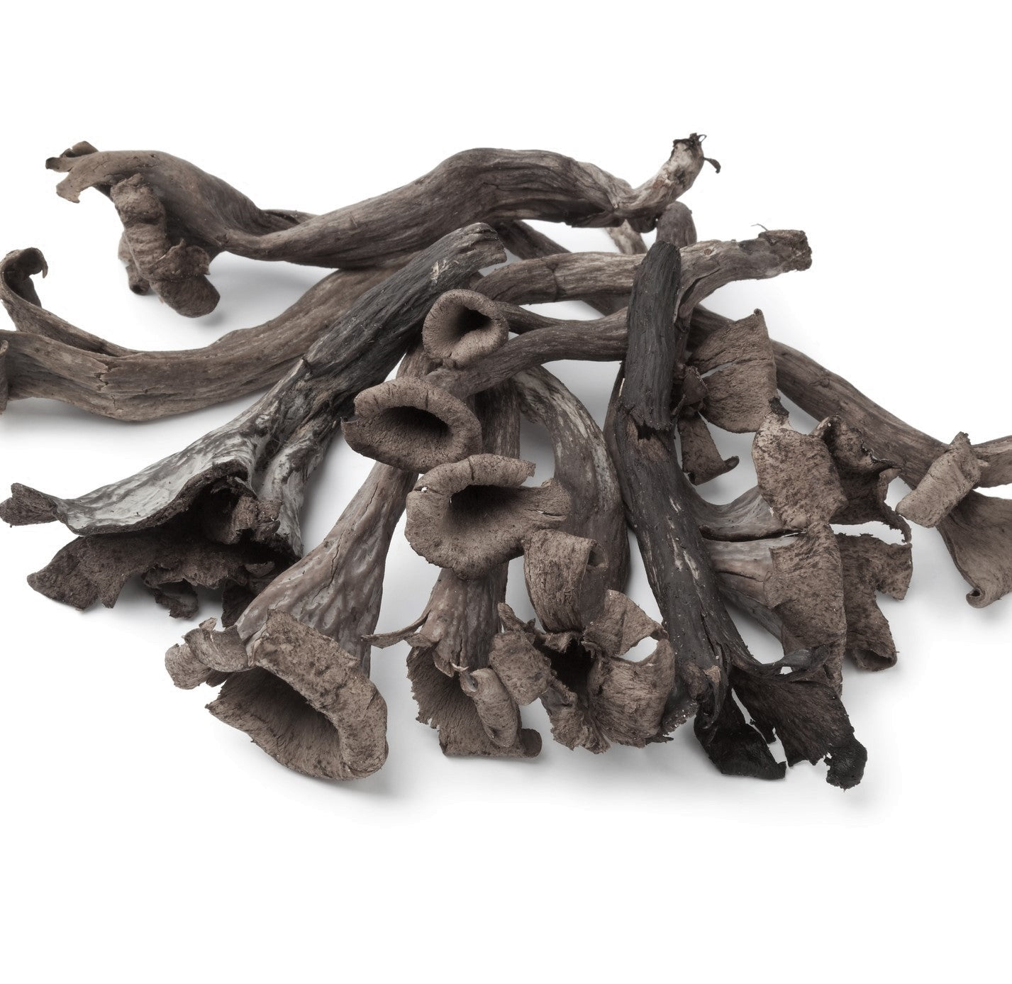 fresh Black Trumpet mushrooms