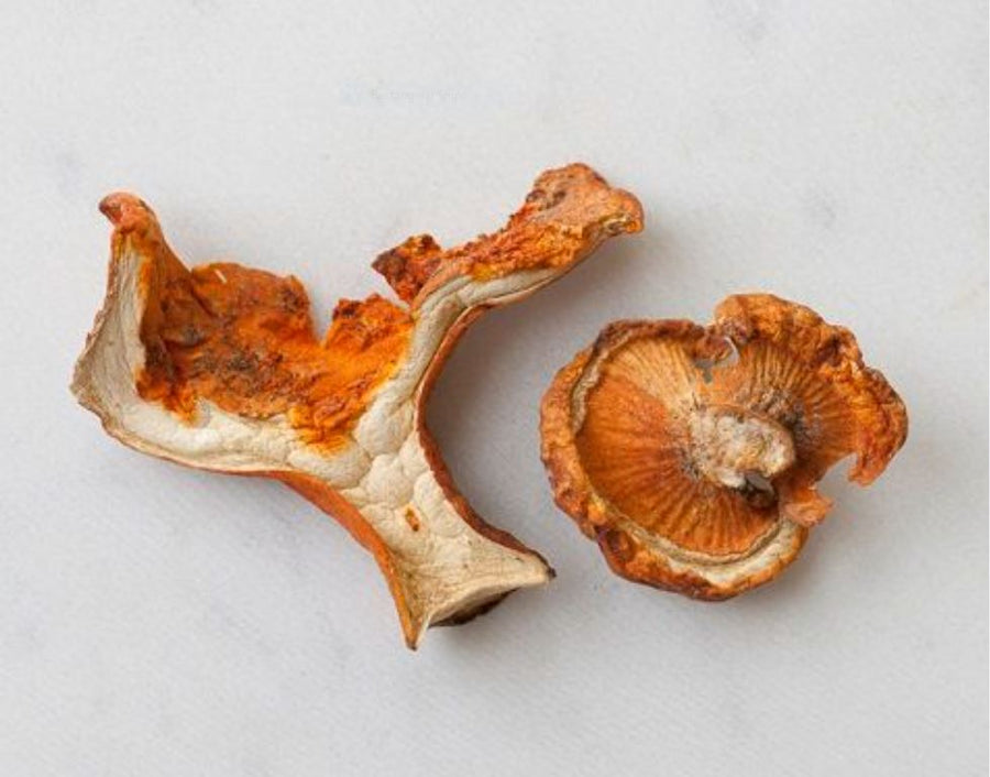 Dried Lobster Mushrooms Northwest Wild Foods