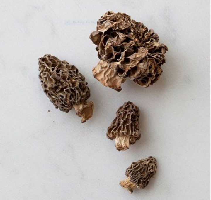 Dried Morel Mushrooms Northwest Wild Foods
