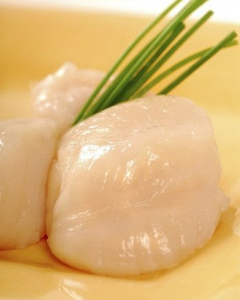 Fresh Frozen Wild Alaskan weathervane scallops