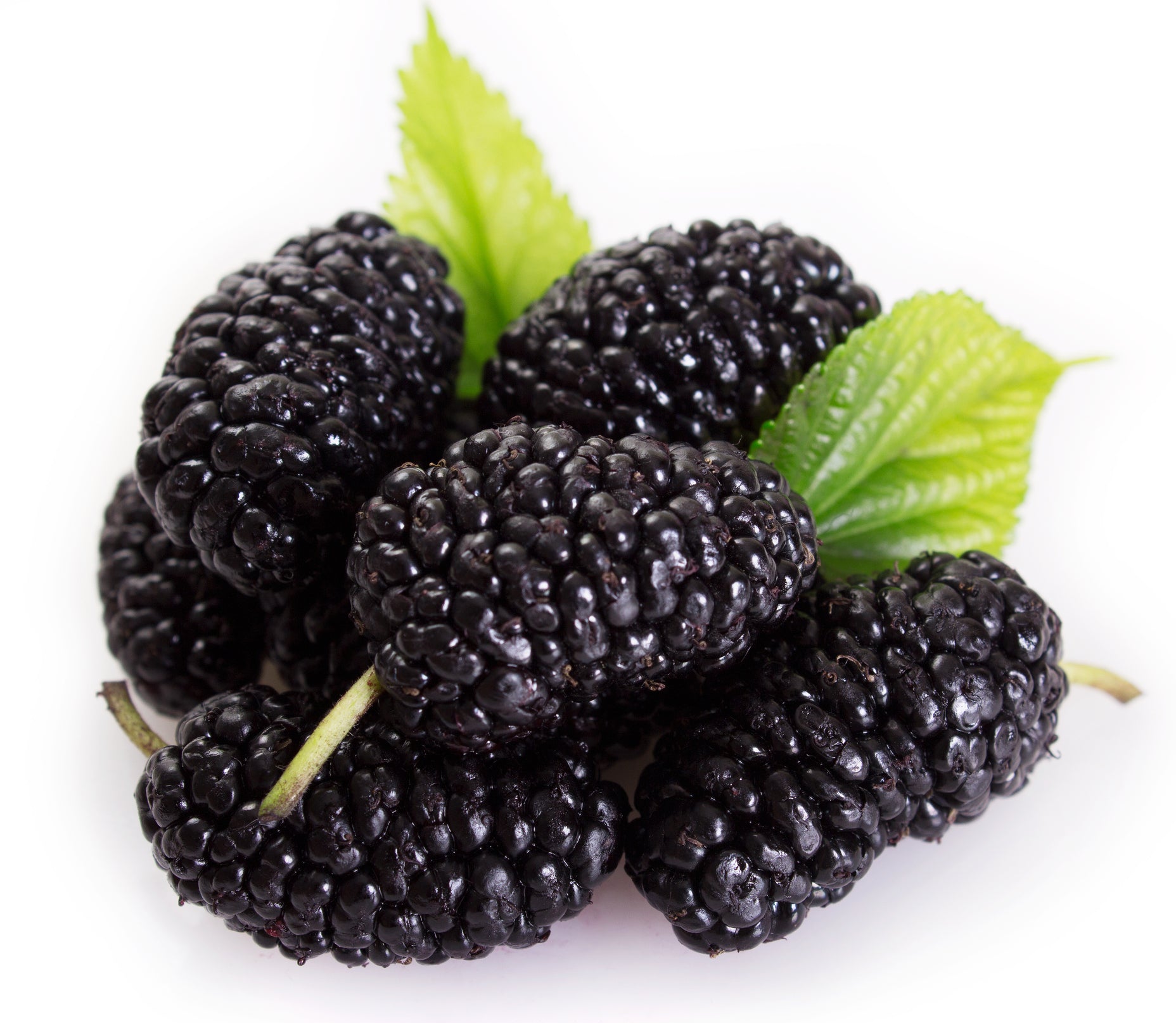 Fresh Frozen Organic Black Mulberries