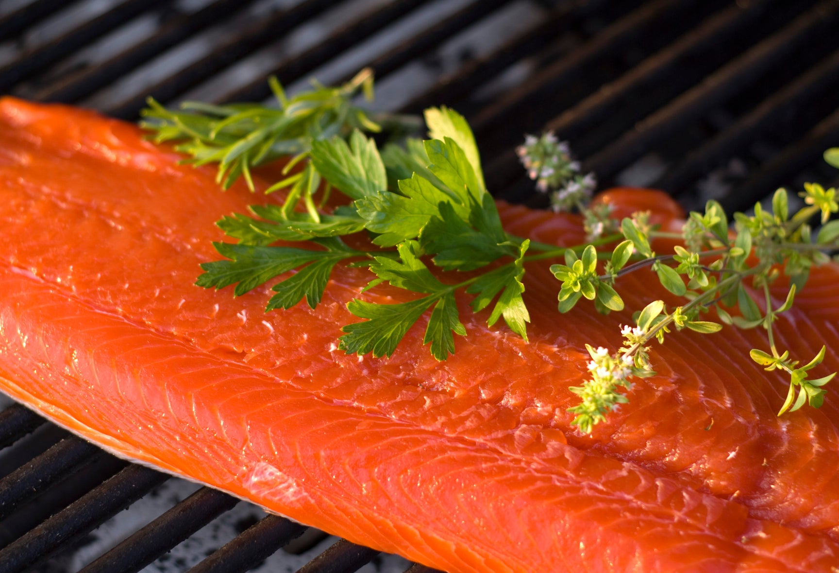 Wild Copper River Sockeye Salmon Fillet Northwest Wild Foods