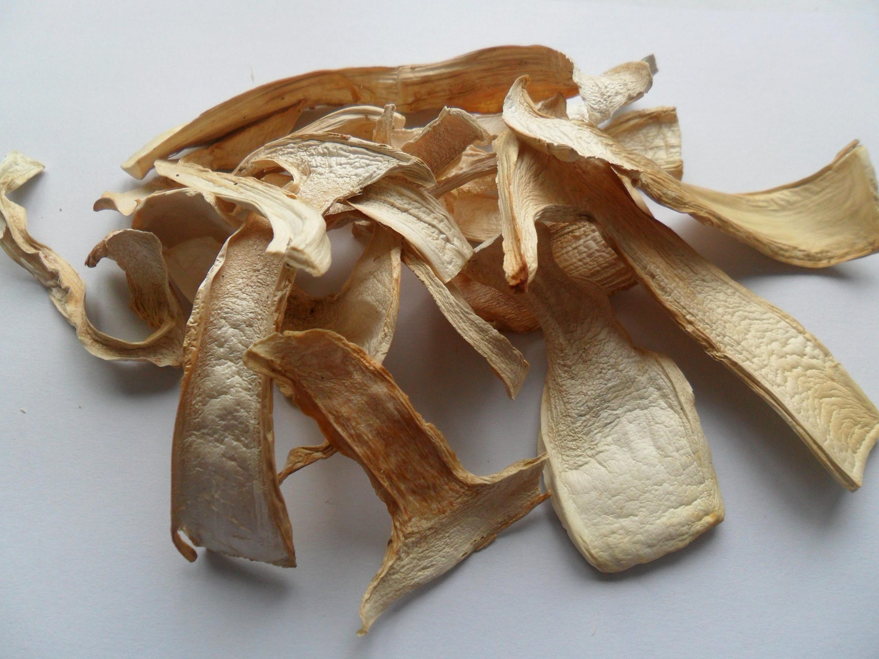Dried Matsutake Mushrooms Northwest Wild Foods