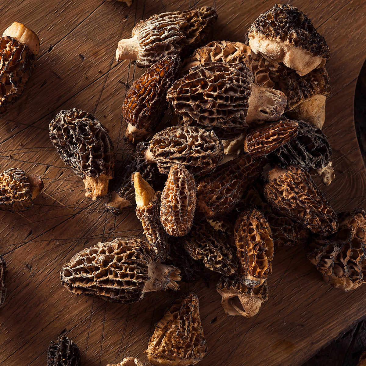 Mushrooms Northwest Wild Foods mushrooms-northwest-wild-foods