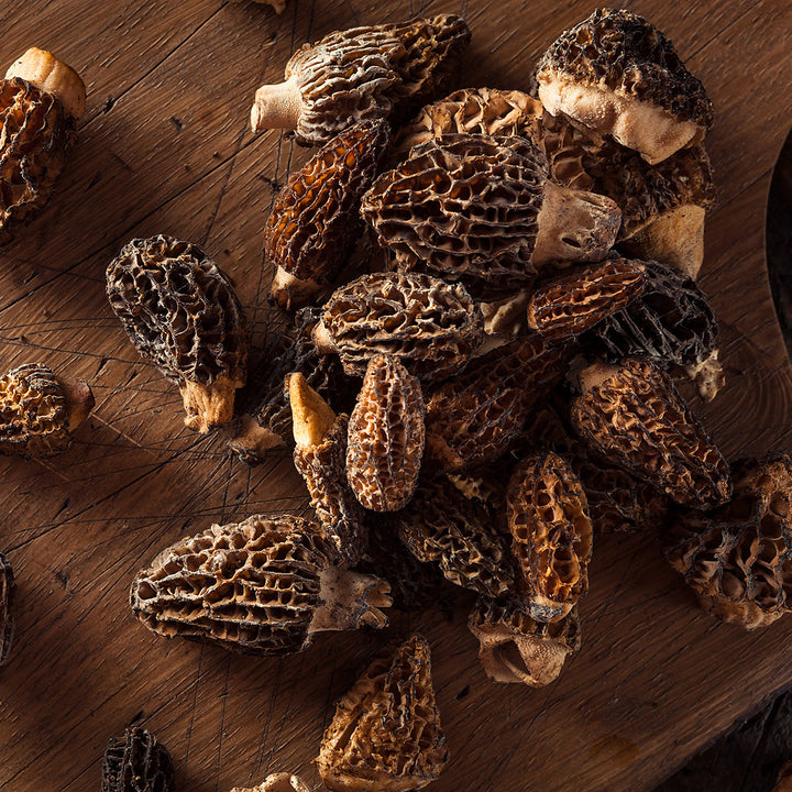 Fresh Morel Mushrooms Northwest Wild Foods