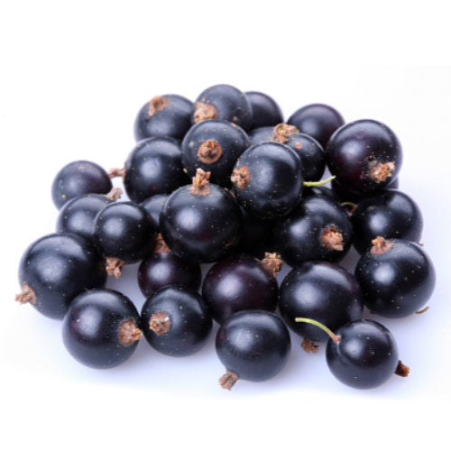 Fresh Organic Black Currants