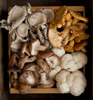 Chefs Mushroom Mix